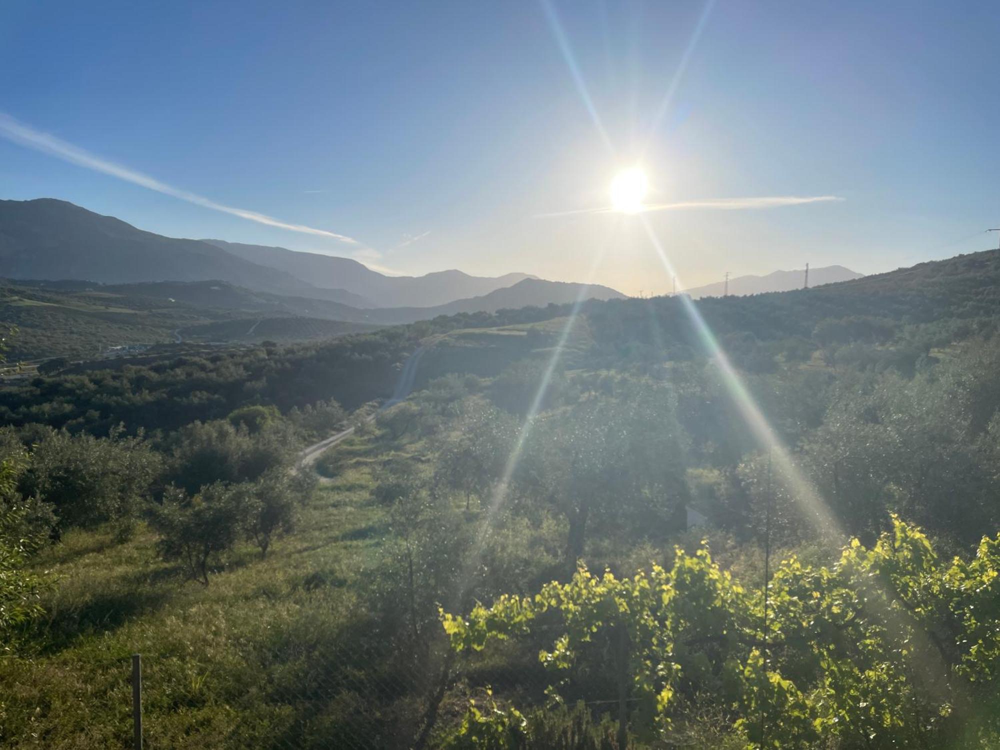 Hacienda Riogordo Bed & Breakfast Dış mekan fotoğraf